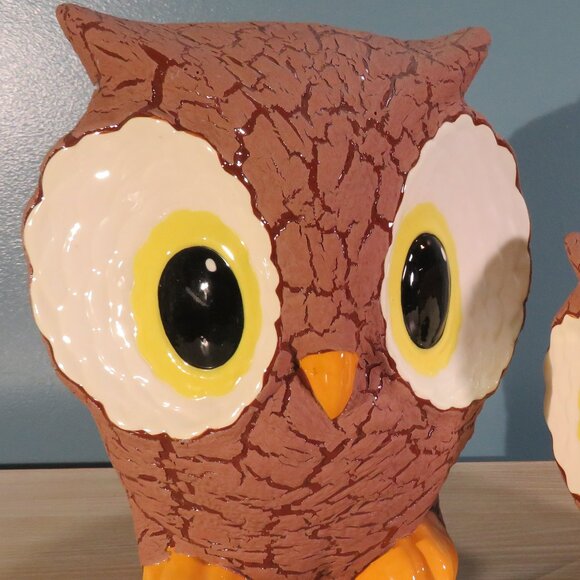 Cute Large Eyed Owls - Picture 7 of 9